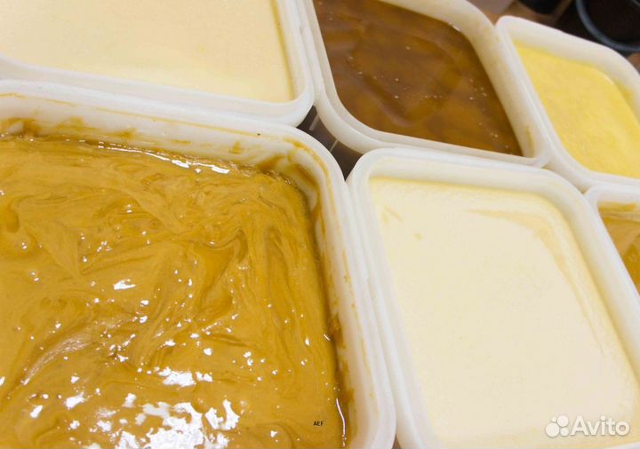 2024 Мёд натуральный алтайский оптом