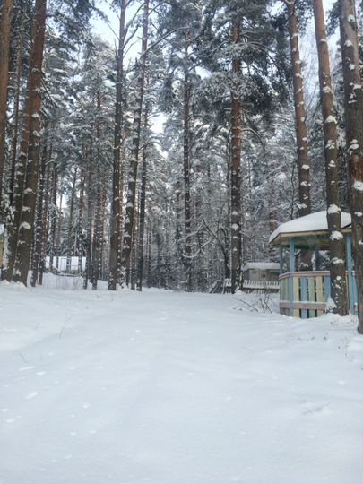 Участок 4,4 га (ИЖС)