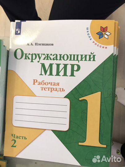 Рабочая тетрадь окружающий мир 1 класс