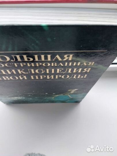 Познавательная книга для детей,большая