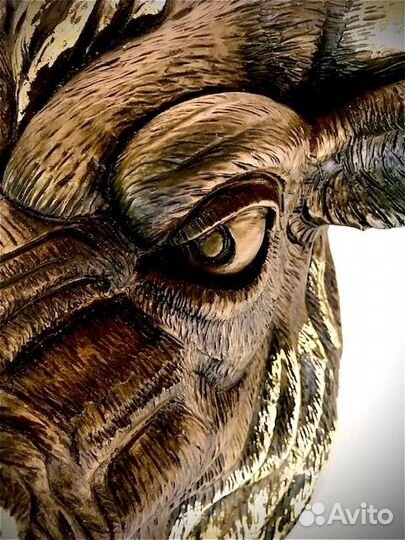 Голова быка