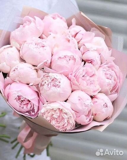 Пионы Букет