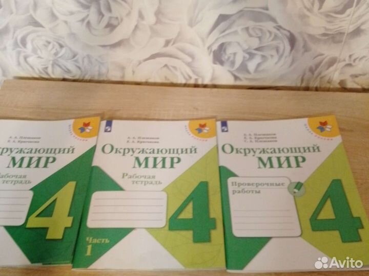 Рабочая тетрадь окружающий мир 4 класс