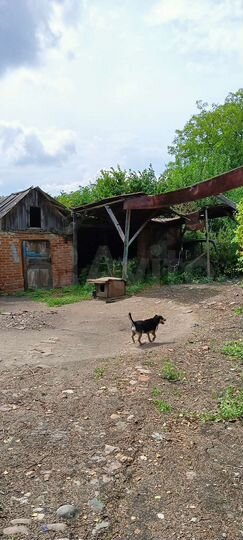 Дом 55,9 м² на участке 40 сот.