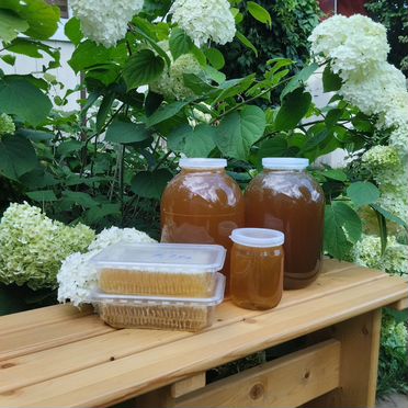 Мед башкирский