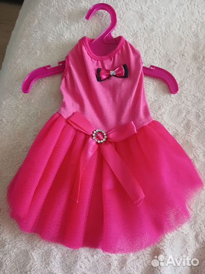 Одежда для собак мелких пород