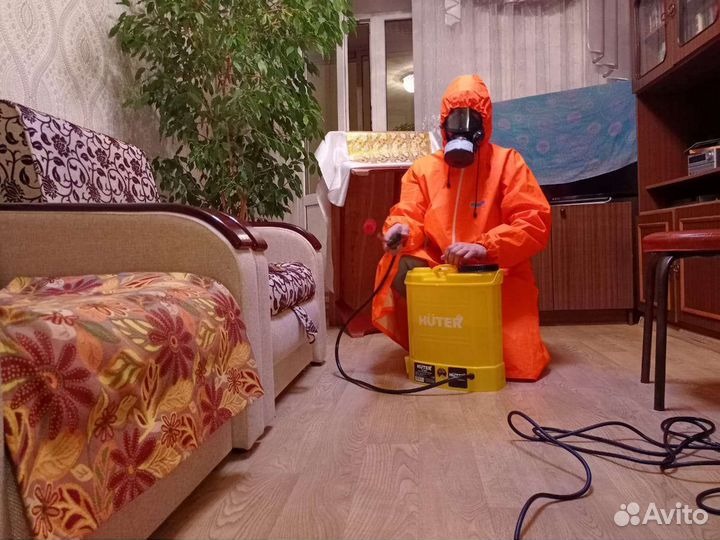 Санобработка травить клопов, уничтожение тараканов