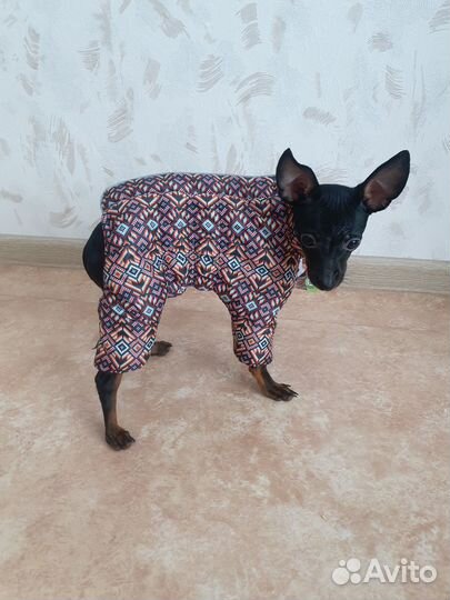 Комбинезон XS для собак мелких пород