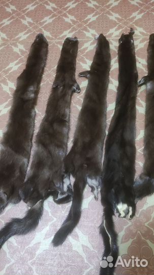 Норковые шкурки