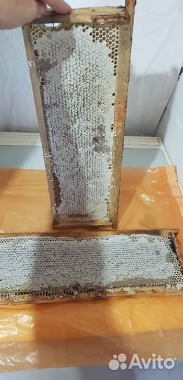 Рамка меда в сотах