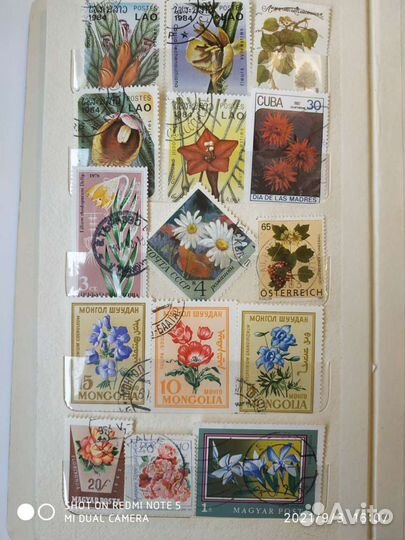 Марки - Флора - для детей