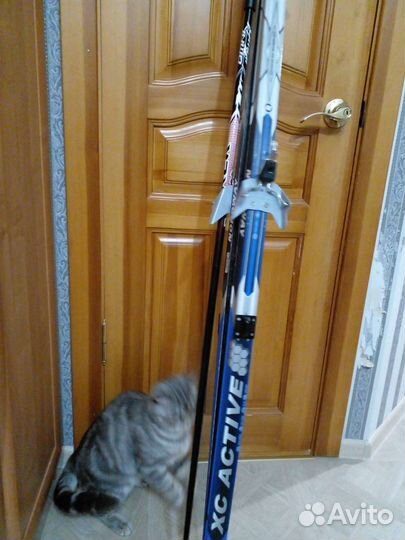 Беговые лыжи.длина лыж 175см