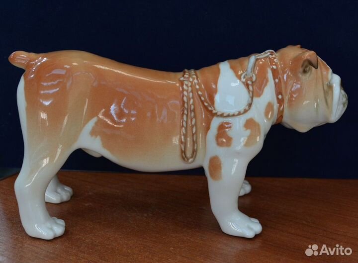 Фарфоровая статуэтка- английски бульдог. лфз. ифз