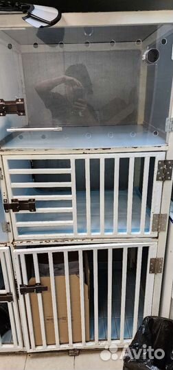 Вольер/стационар