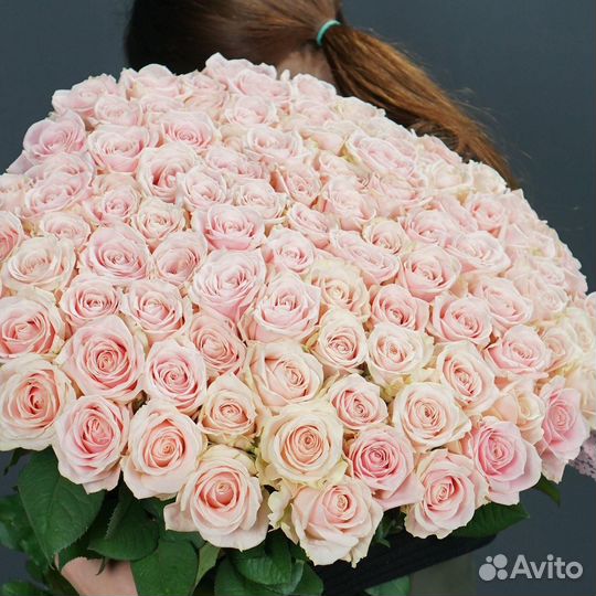 101 Роза Цветы Доставка Новороссийск