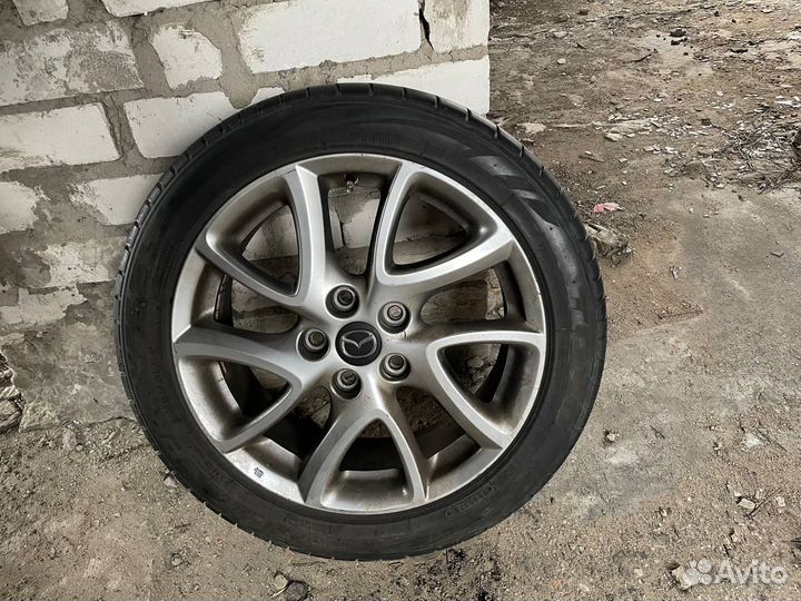 Toyo Proxes TR1 205/50 R17 91W