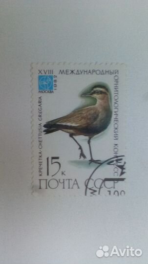 Марка 15к 1982 год СССР Кречетка