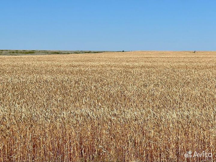 Продажа бизнеса. Окупаемость до 3-х лет