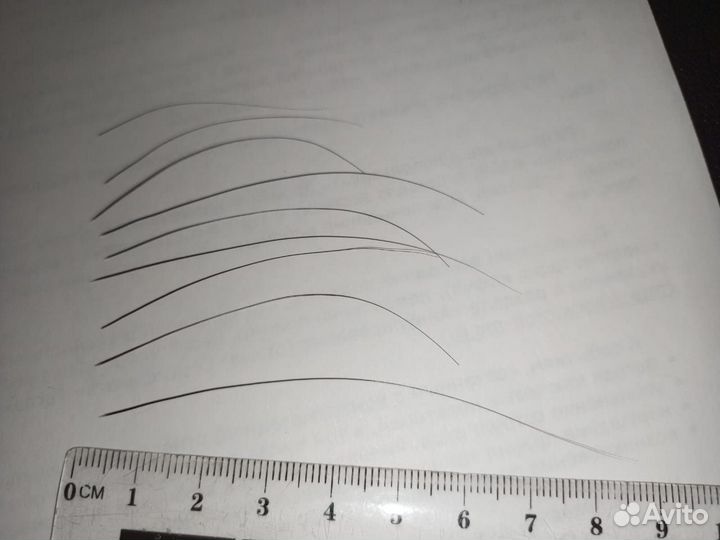 Кошачьи усы