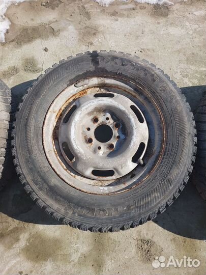 Nordman Nordman + 175/70 R14
