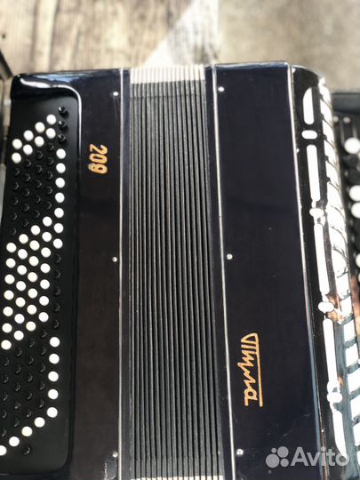 Баян тула 209