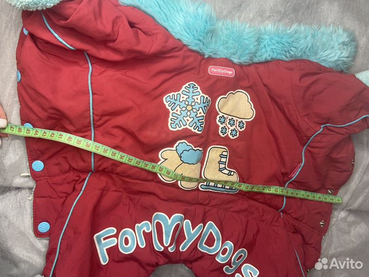 Одежда для собак