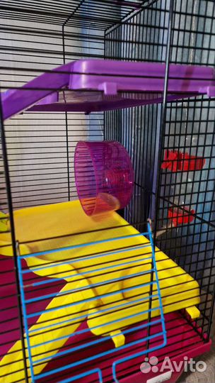 Клетка для грызунов (крыс) inter-zoo