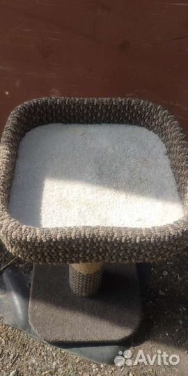 Когтеточка стойка с лежанкой для кошечки