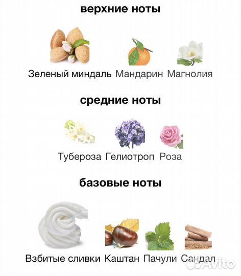 Sound of Donna Trussardi 100 мл