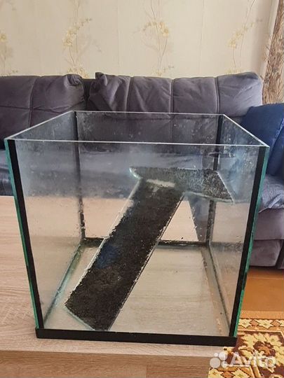 Аквариум для красноухой черепахи