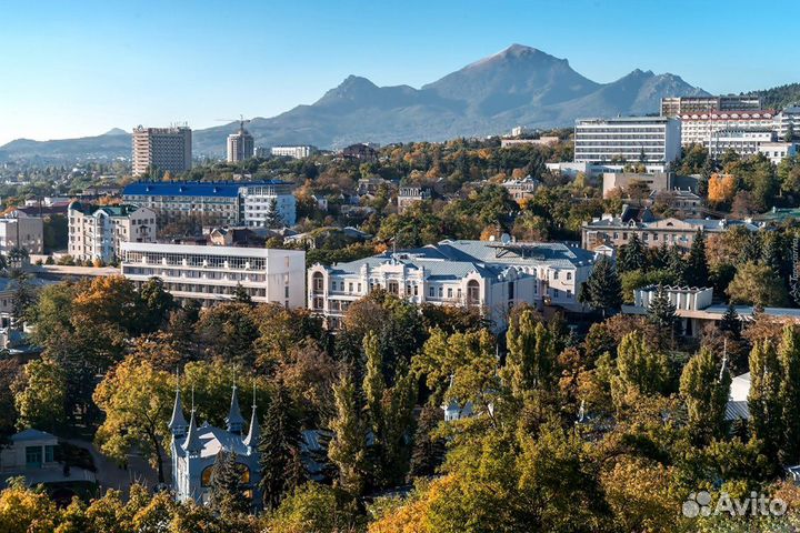 Обзорная программа 