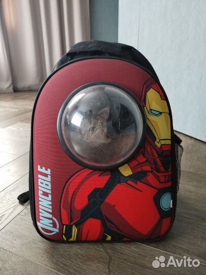 Рюкзак-переноска для животных