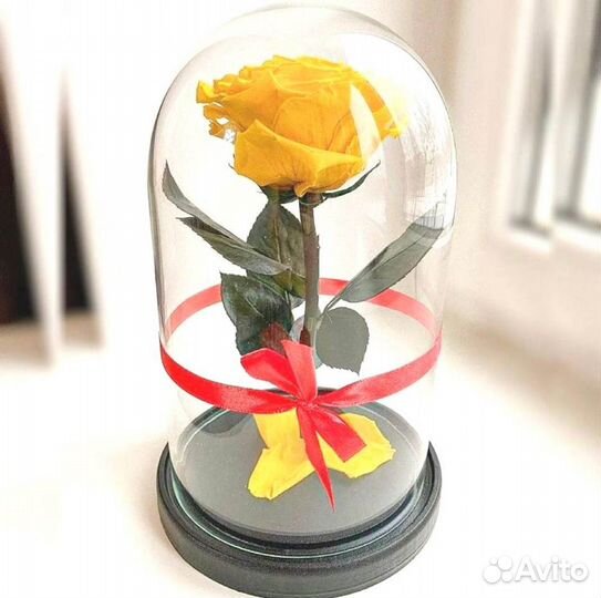 Роза в колбе