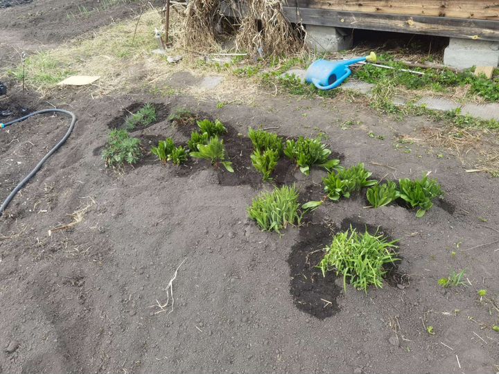 Дача 20 м² на участке 4 сот.