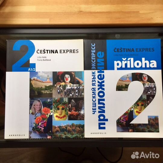 Чешский язык