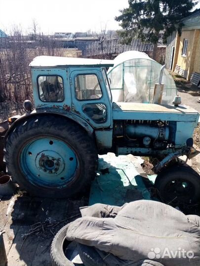 Трактор ЛТЗ Т-40M, 1984