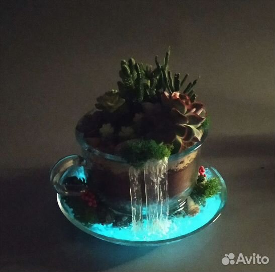 Флорариум в подарок