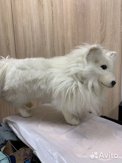 Игрушка Самоедская лайка
