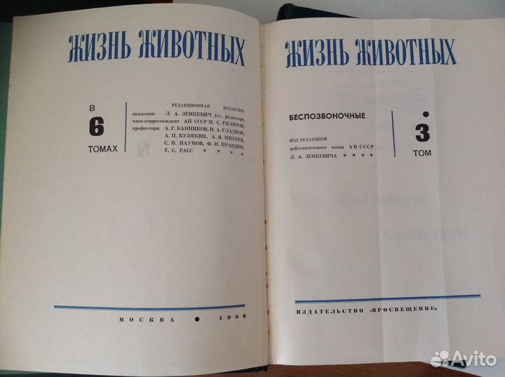 Энциклопедия 