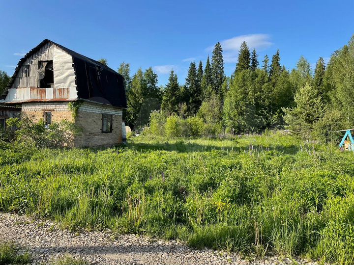 Участок 10 сот. (СНТ, ДНП)