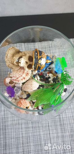 Аквариум для рыбки петушка