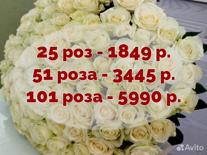 Розы 25 51 101 цветы