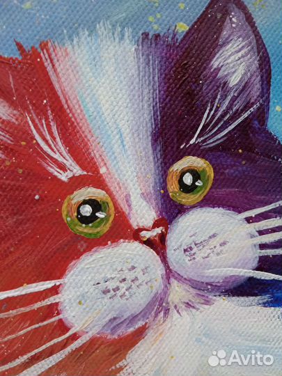 Картина Котик