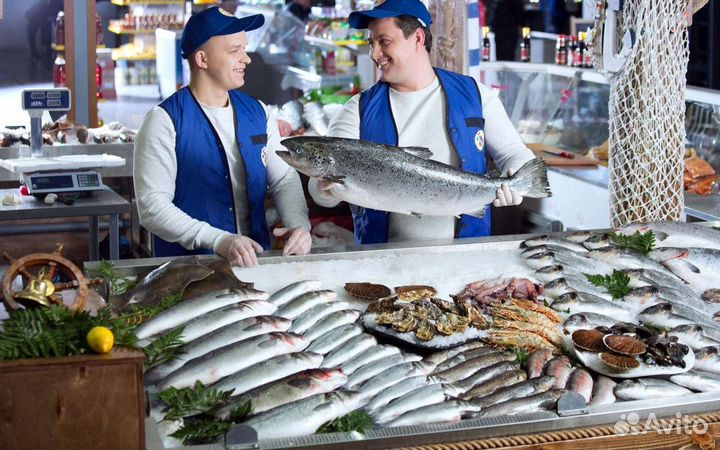 Готовый рыбный магазин с клиентской базой