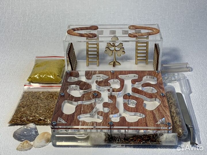 Муравьиная ферма для любознательного ребенка