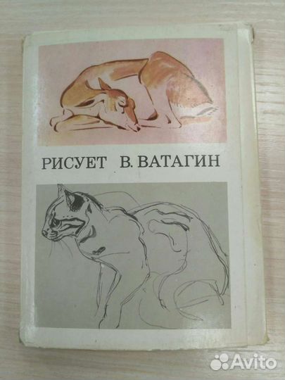 Открытки животные художник Ватагин