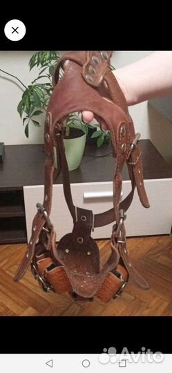 Шлейка для средней собаки