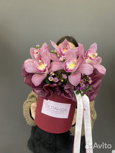 Орхидеи в коробке