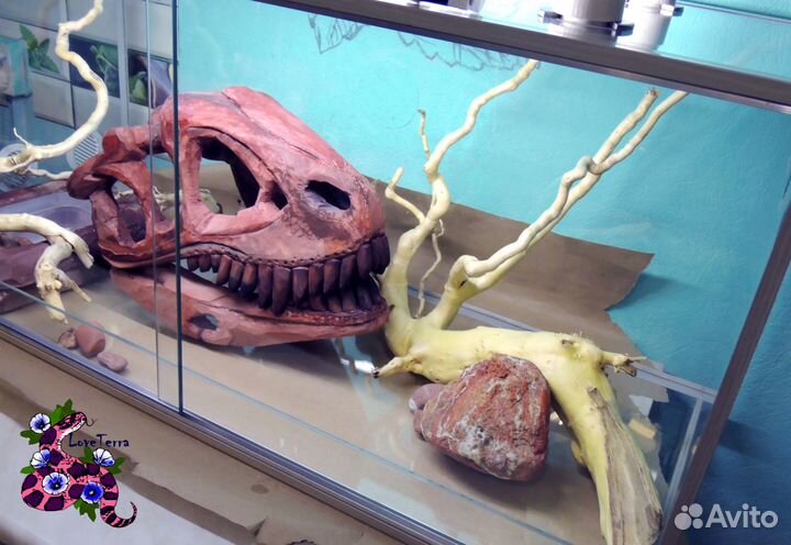 Террариумы, аквариумы (светлое, тёмное исполнение)