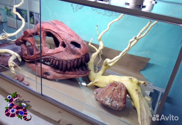 Террариумы, аквариумы (светлое, тёмное исполнение)